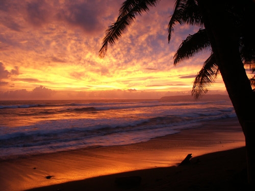 Wschód słońca - Kostaryka - www.przewodnicywedkarscy.pl - Wyprawy na ryby
