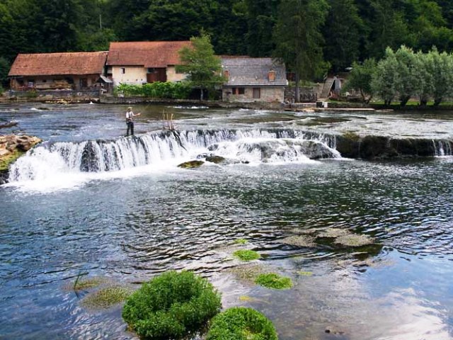 Rzeka Krka - Słowenia - www.przewodnicywedkarscy.pl - Wyprawy na pstrągi