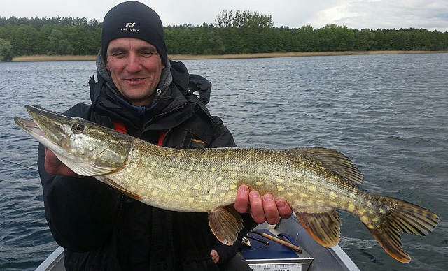 Wyprawy na ryby - www.przewodnicywedkarscy.pl - Wyprawy z przewodnikiem