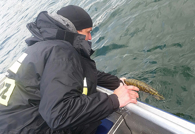 Wyprawy na ryby - www.przewodnicywedkarscy.pl - Wyprawy z przewodnikiem