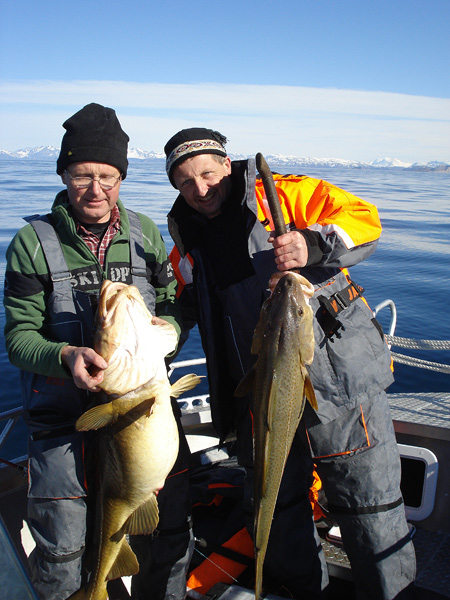 Wyprawy do Norwegii - www.przewodnicywedkarscy.pl - Wyspa Senja Wyprawy do Norwegii - www.przewodnicywedkarscy.pl - Wyspa Senja