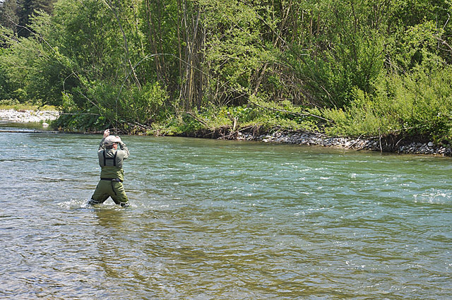 Wyprawy muchowe - www.przewodnicywedkarscy.pl - Fly Fishing in Poland