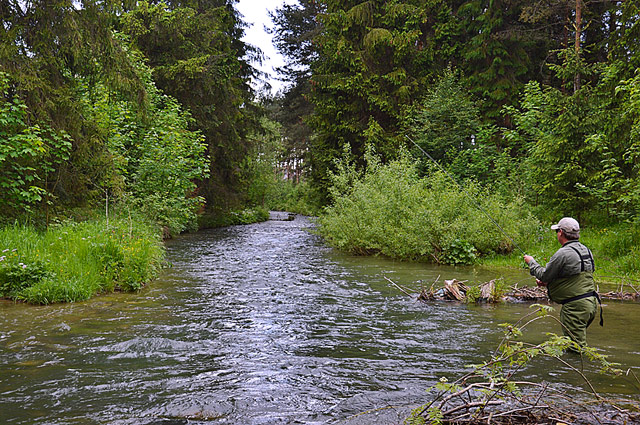 Wyprawy muchowe - www.przewodnicywedkarscy.pl - Fly Fishing in Poland