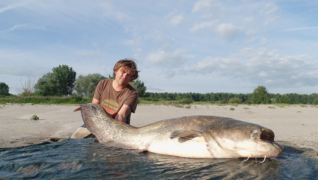 Wyprawy wędkarskie na rzekę Pad - www.przewodnicywedkarscy.pl - Sum z rzeki Pad we Włoszech
