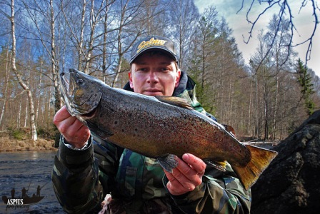 mateusz_58cm_przewodnicy