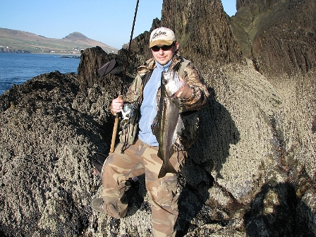 pollack_01 pollack_01