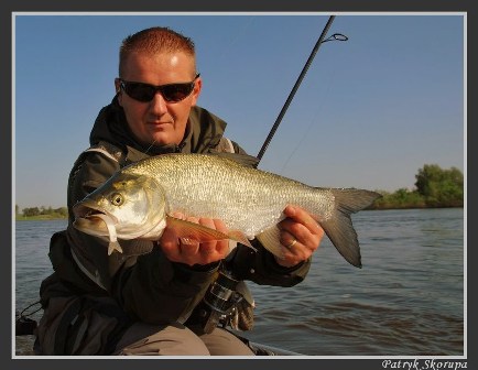 bolen_patu_04_05_2009_02 bolen_patu_04_05_2009_02