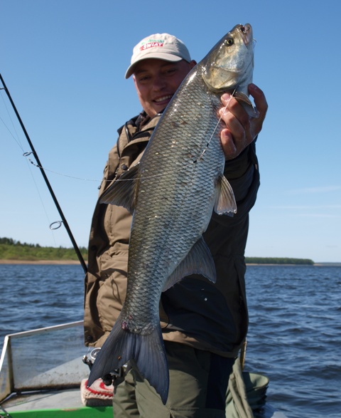 bolen_paulin_maj_2009_02