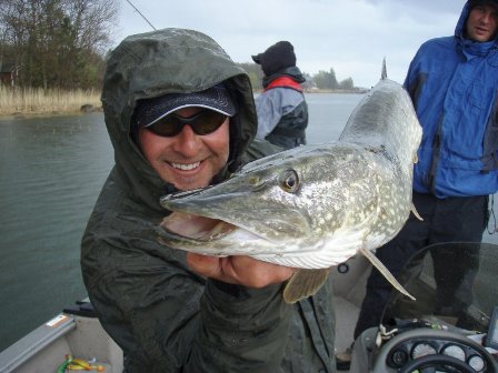 krysiak_majowka_2009_02 krysiak_majowka_2009_02