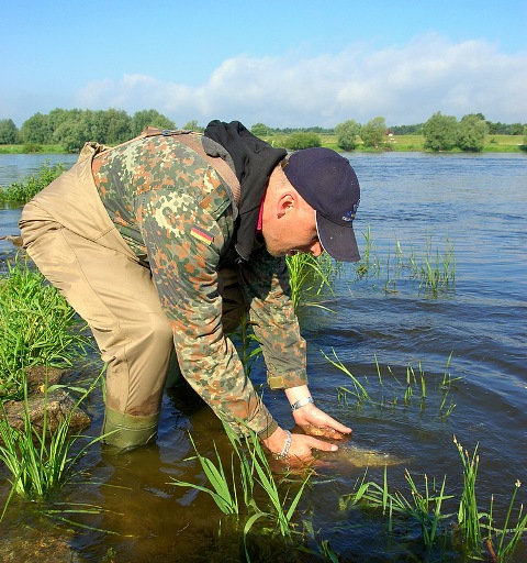 dsc_5761-1 dsc_5761-1