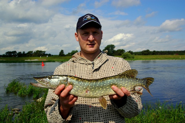 dsc_5762-1 dsc_5762-1