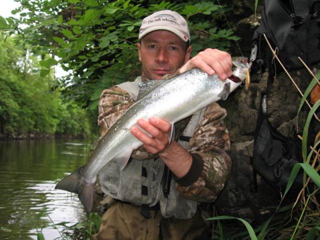 mile_urozmaicenie_lososik