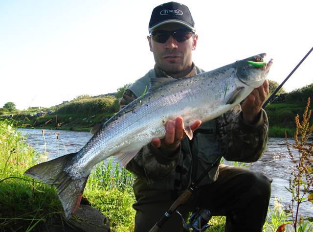 Łosoś z rzeki Łosoś z rzeki