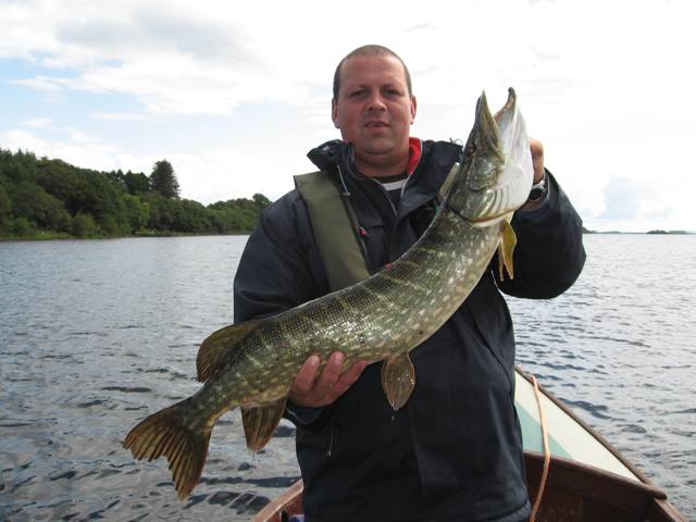 Klient z irlandzkim szczupakiem