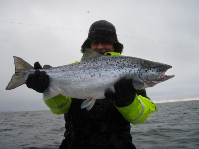 losos_z_vanern2 losos_z_vanern2