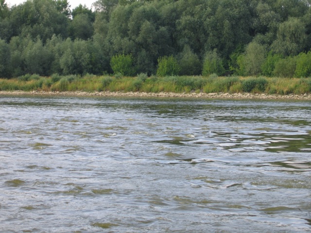 Typowa rynna na brzanowe łowy