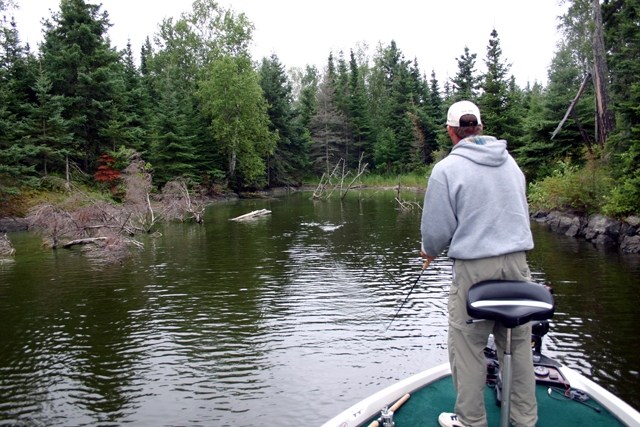 good-presentation-need-hard-work-and-concentration1