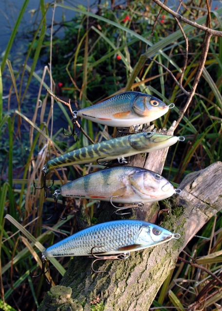 salmo-jerkbaits-slider-jack-fatso-and-warrior1