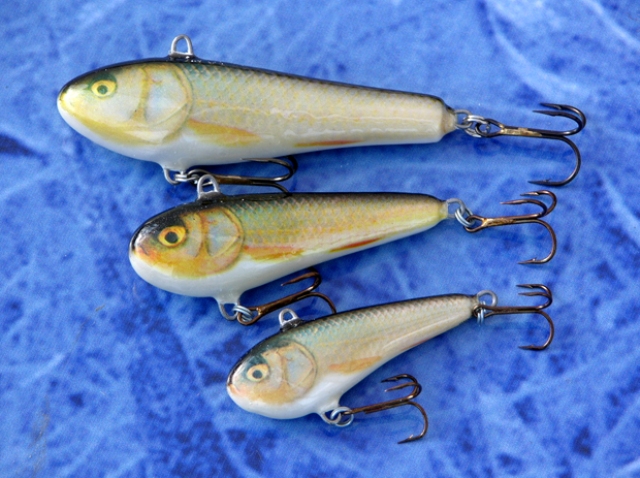 the_only_vertical_wobblers_all_over_the_world_-_salmo_chub-by_darter