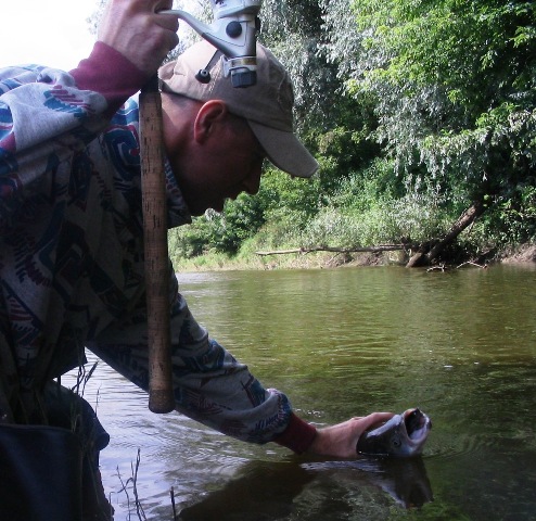 Boleń - Marcin Leloch