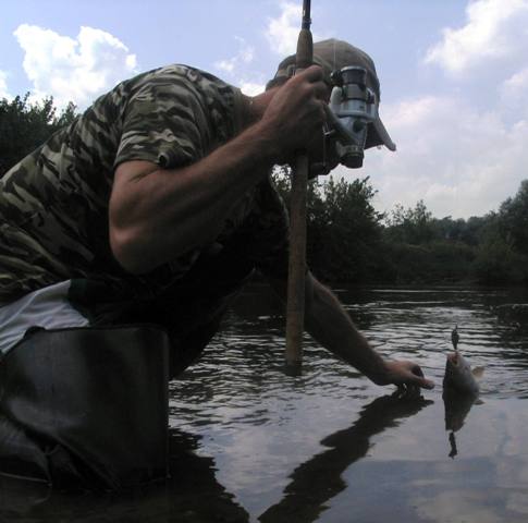 Marcin podbiera bolenia