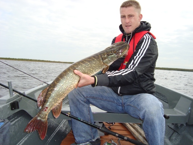 Nasz Gość ze szczupakiem Nasz Gość ze szczupakiem