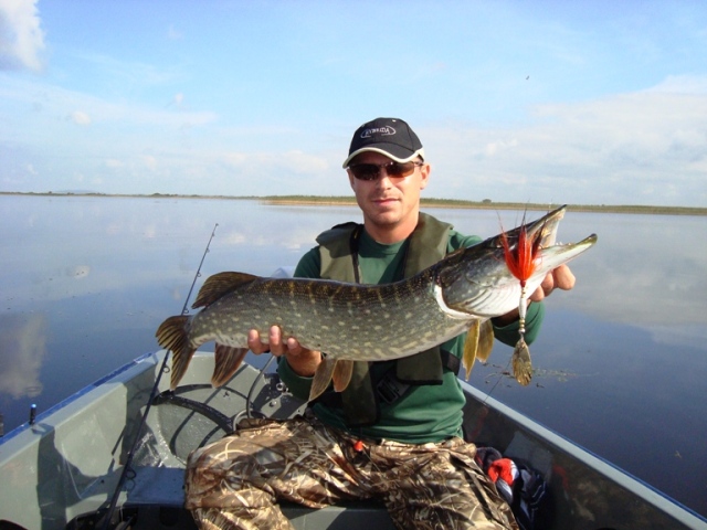 Nasz przewodnik pokazał klasę