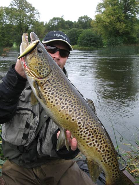 Wielki pstrąg potokowy