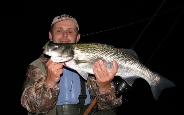 Duży bass złowiony w nocy