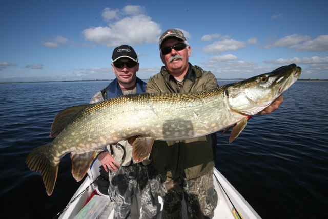 Grzegorz Zarębski z pięknym okazem szczupaka
