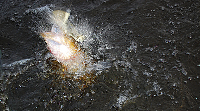 Walka przy powierzchni