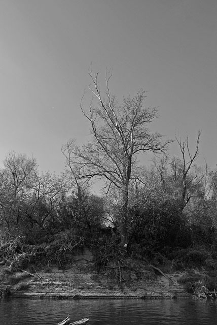 Wiślany brzeg z czarno-białym kadrze