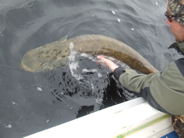 Catch&Release - jedynie słuszna metoda