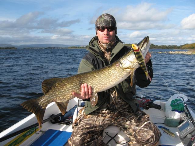 Szczupak z Irlandii Szczupak z Irlandii