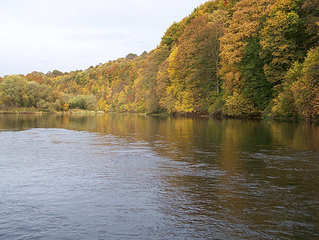 San bez deszczu San bez deszczu