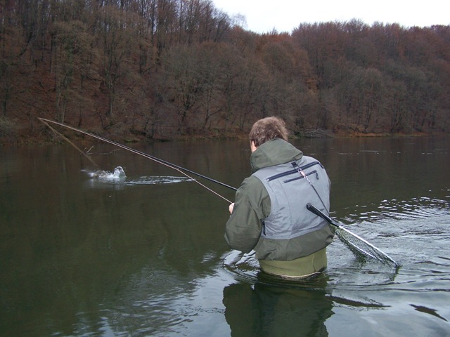 Hol dużego lipienia