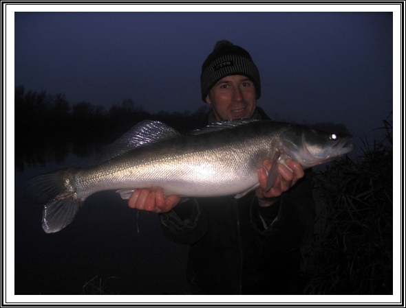 Wieczorny sandacz z Wisły