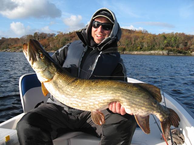 Jesienny szczupak złowiony na jerka Jesienny szczupak złowiony na jerka