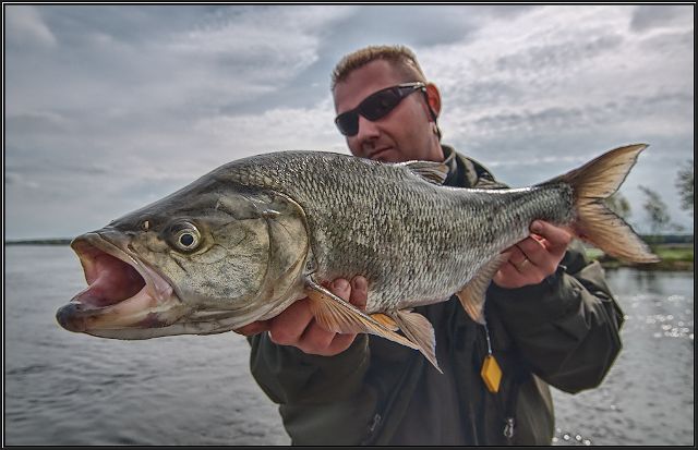 Patryk z okazowym boleniem - www.przewodnicywedkarscy.pl - Wyprawy na ryby