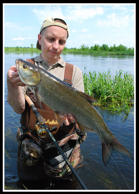 Rapa - Sebastian Kalkowski - www.przewodnicywedkarscy.pl - Wyprawy na ryby