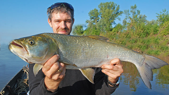 Hubert z boleniem 78 cm - Wisła - www.przewodnicywedkarscy.pl - Wyprawy wędkarskie