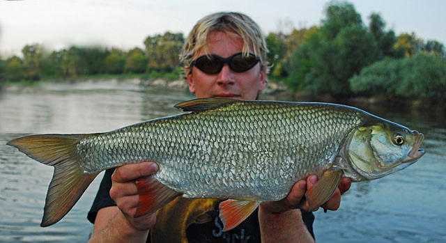 Mateusz Kalkowski - Jaź 64 cm - www.przewodnicywedkarscy.pl - wyprawy wędkarskie