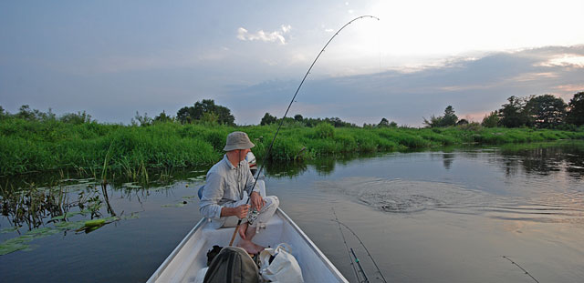 Hol szczupaka - Narew - www.przewodnicywedkarscy.pl - Wyprawy wędkarskie