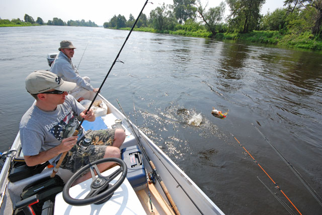 Pychówka ze sterówką - Narew - www.przewodnicywedkarscy.pl - Wyprawy wędkarskie