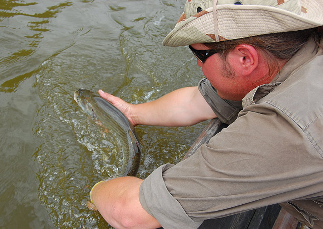 Catch & release - wyprawa grupowa Wisła - www.przewodnicywedkarscy.pl - Wyprawy wędkarskie