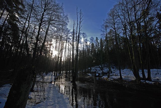 Rano nad rzeką - Pstrąg - www.przewodnicywedkarscy.pl - wyprawy wędkarskie