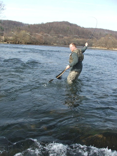 San - podebranie pstrąga - www.przewodnicywedkarscy.pl - Wyprawy wędkarskie