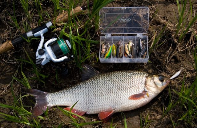 Andrzej Lipiński - wywiad Andrzej Lipiński - wywiad