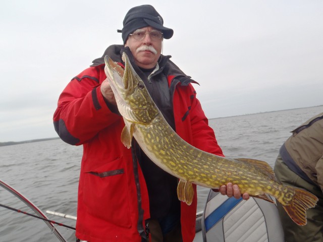 Szczupak 104 cm - www.przewodnicywedkarscy.pl - Wyprawy na szczupaka