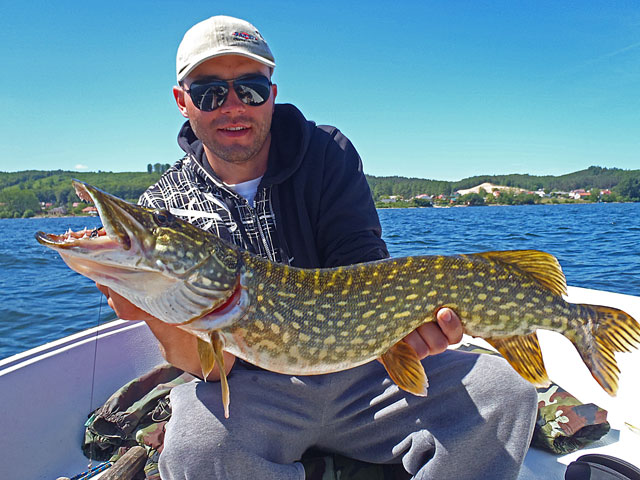 Kolejny ładny szczupak Adama - Żarnowiec - www.przewodnicywedkarscy.pl - Wyprawy na szczupaka